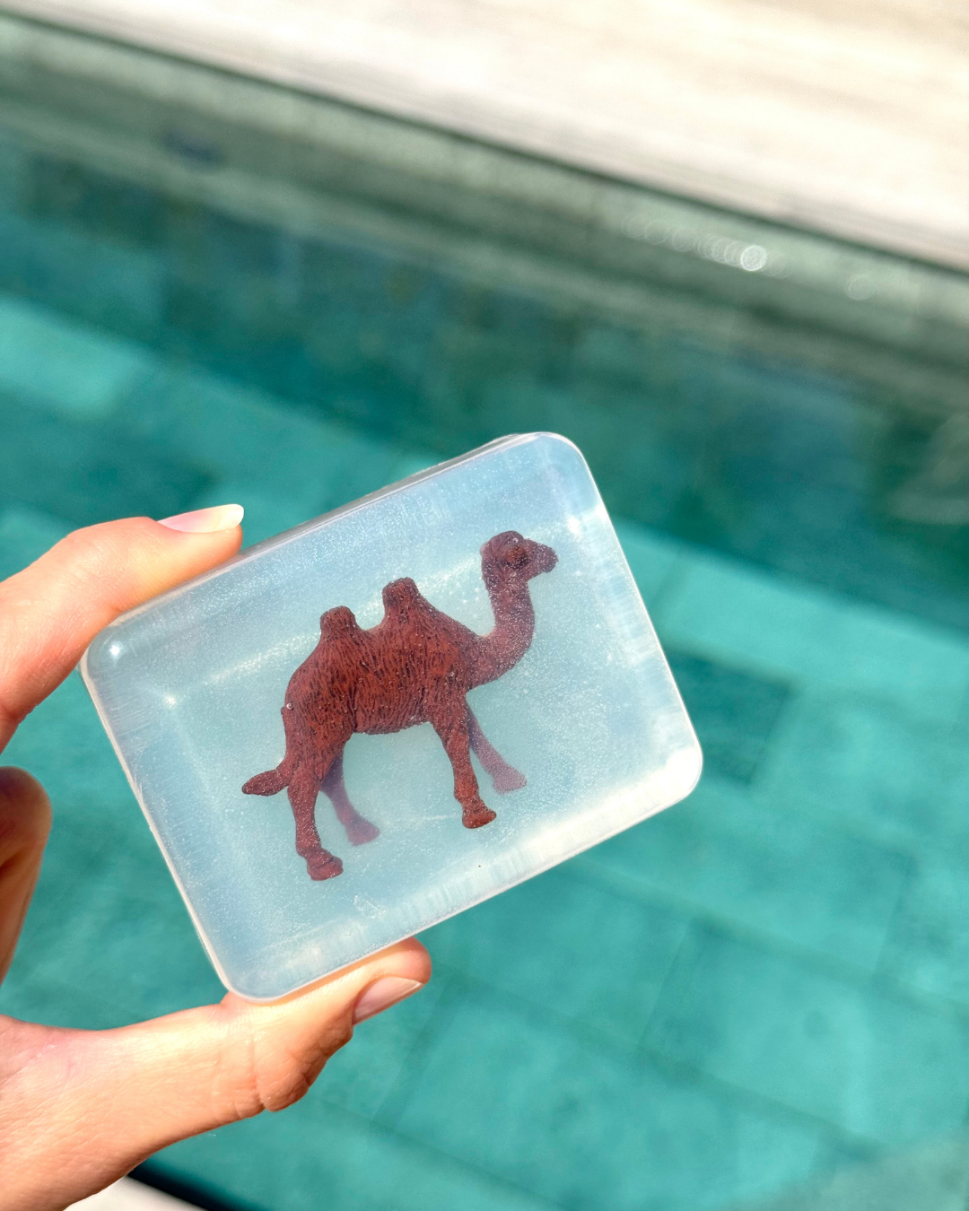 savon transparent avec figurine chameau soap Hit