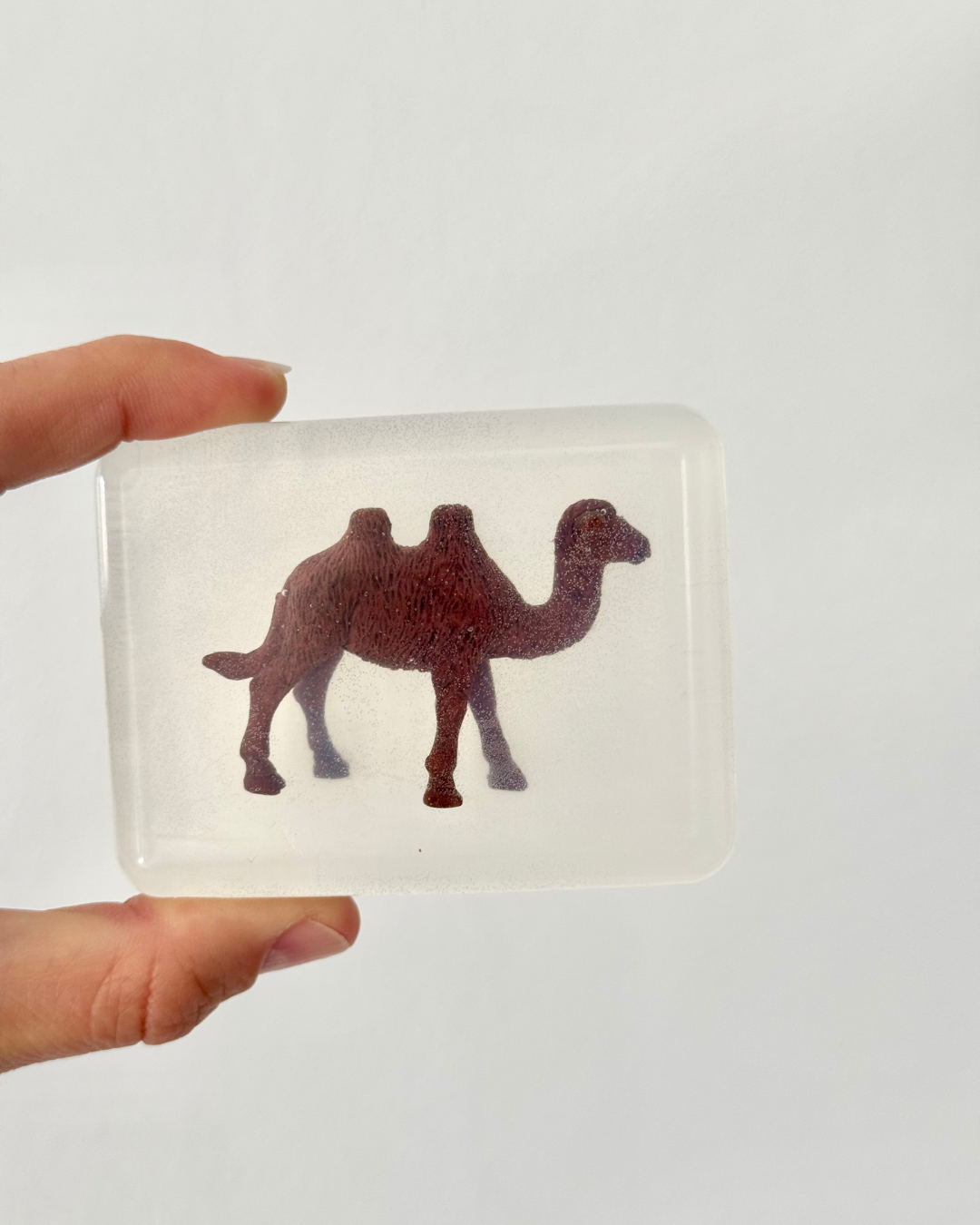 savon transparent avec figurine chameau soap Hit