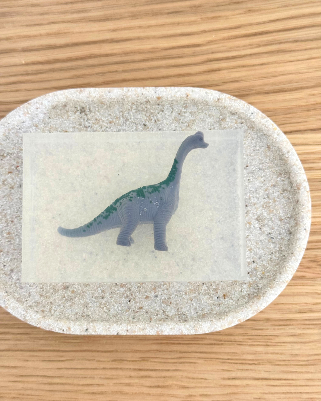 savon transparent diplodocus soap hit