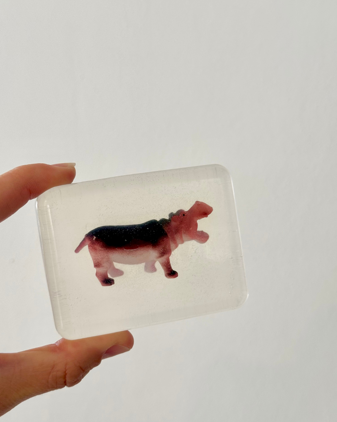 savon transparent hippopotame