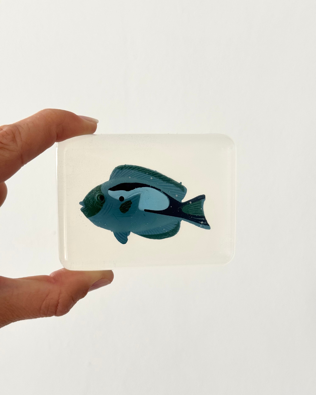 savon transparent avec figurine poisson bleu soap hit
