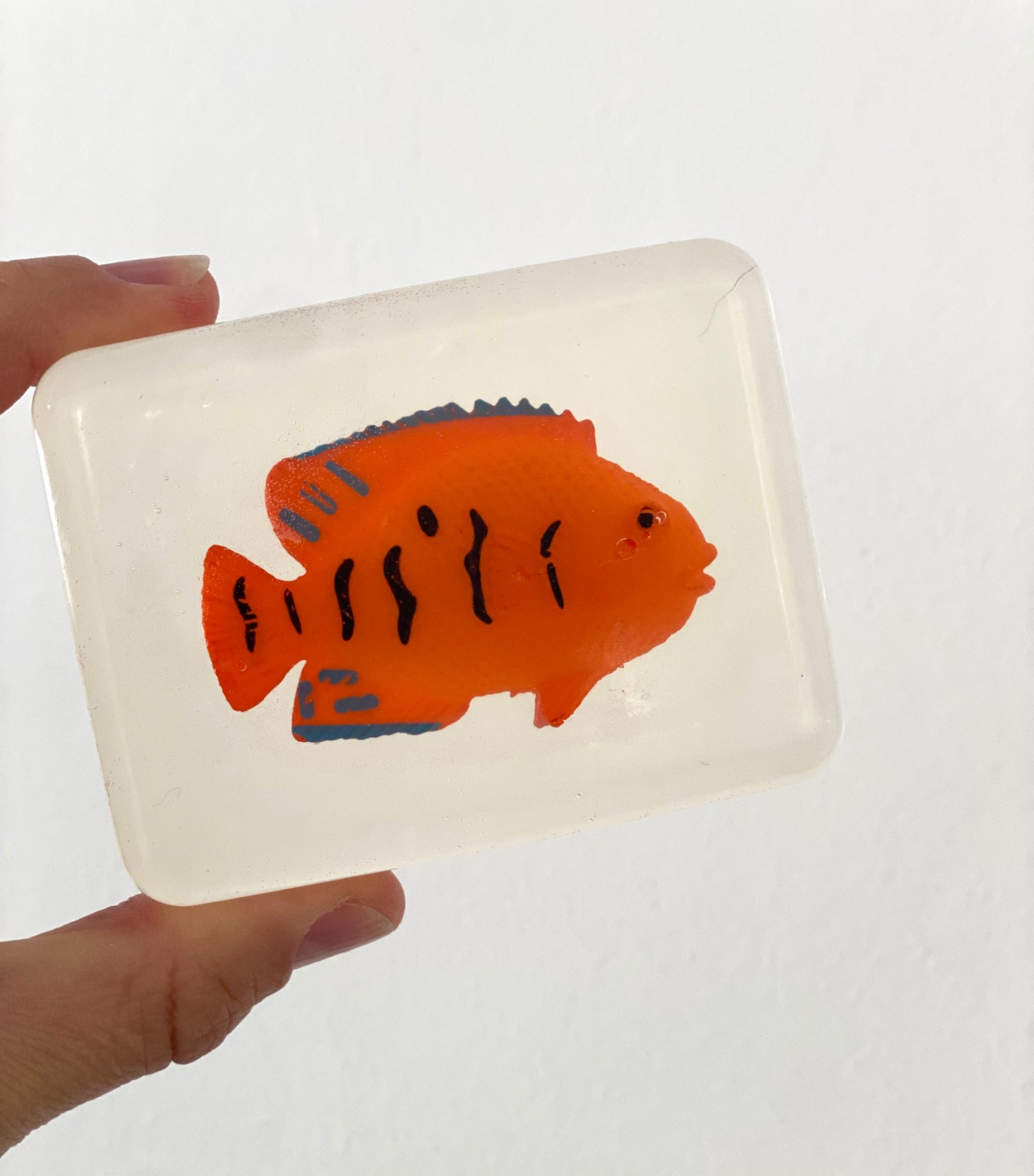 savon transparent avec figurine poisson