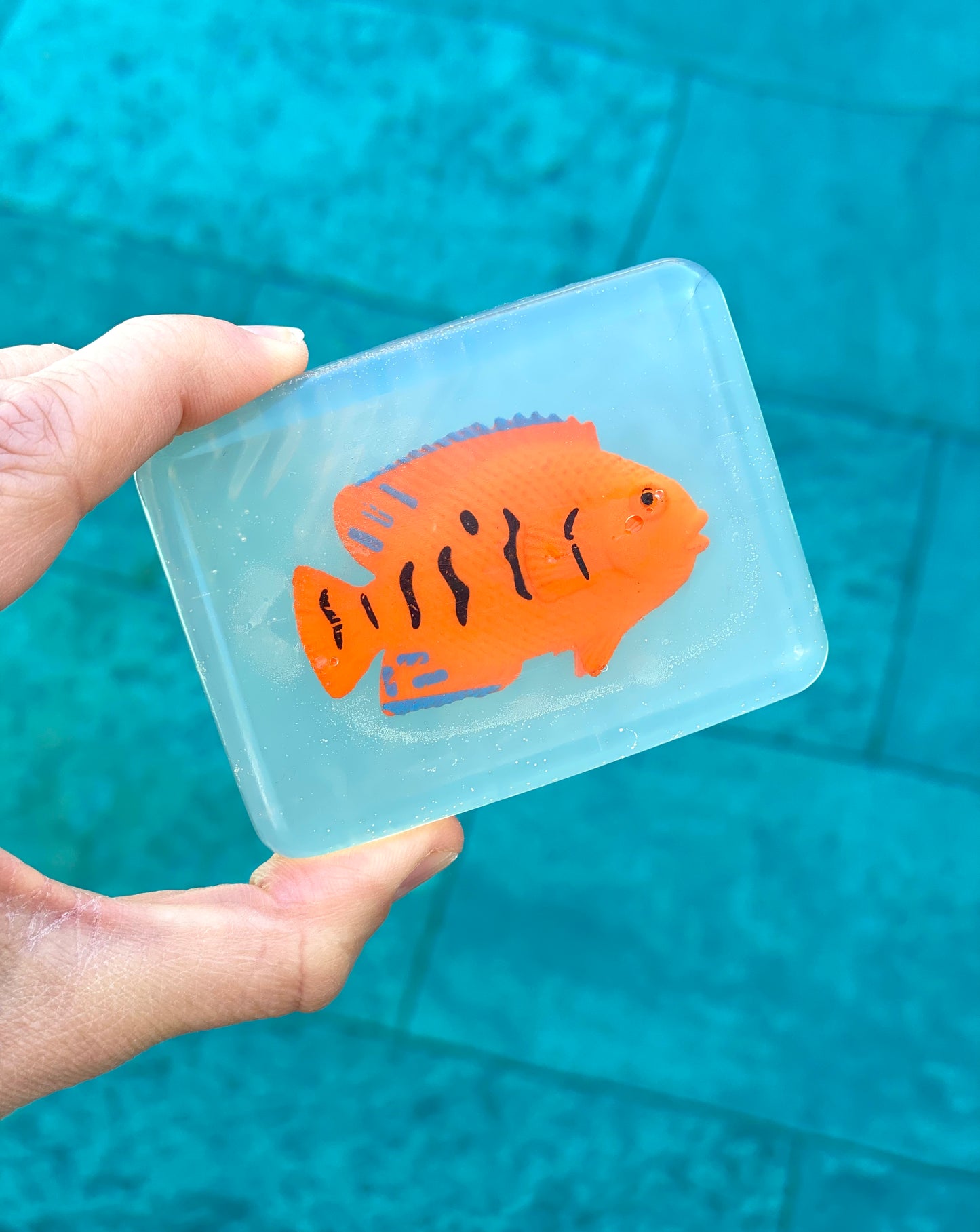 savon transparent avec figurine poisson