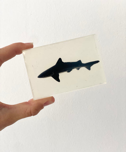 savon transparent avec figurine requin