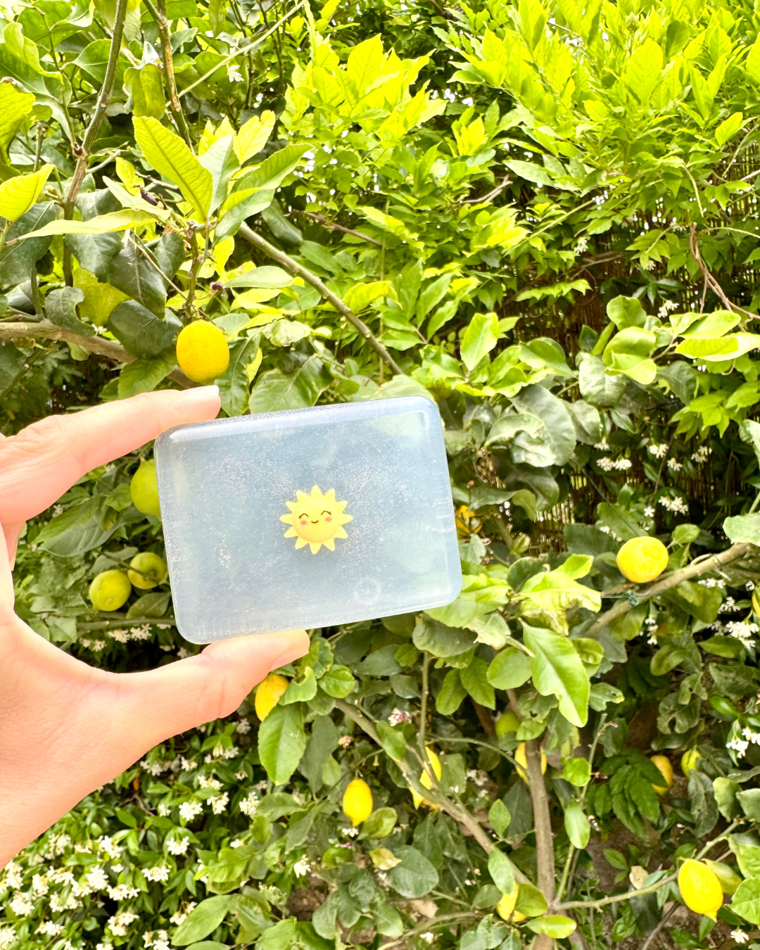 savon transparent soleil soap hit