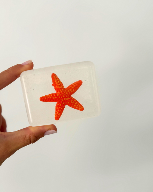 Savon transparent avec étoile de mer Soap Hit