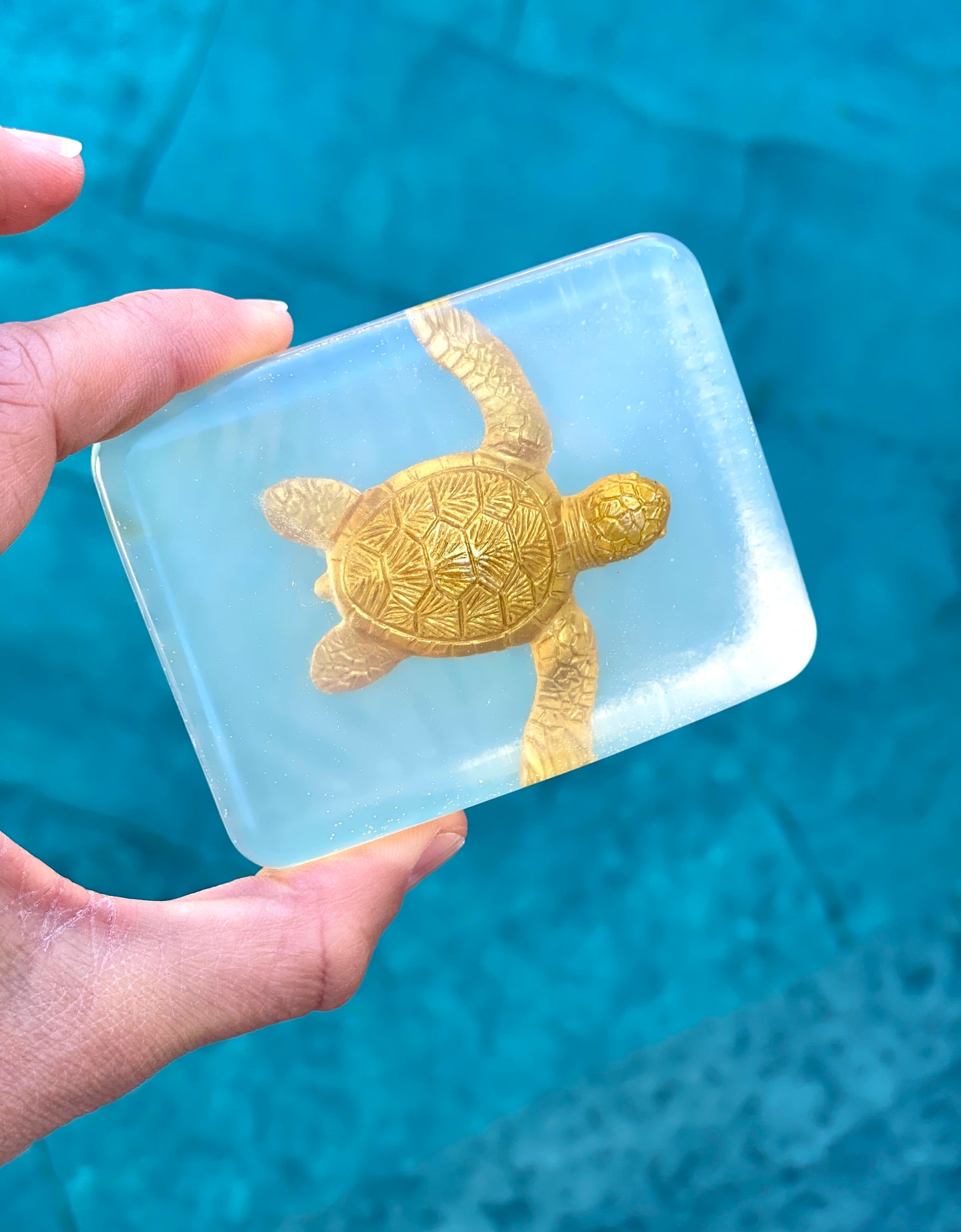 savon transparent avec figurine tortue