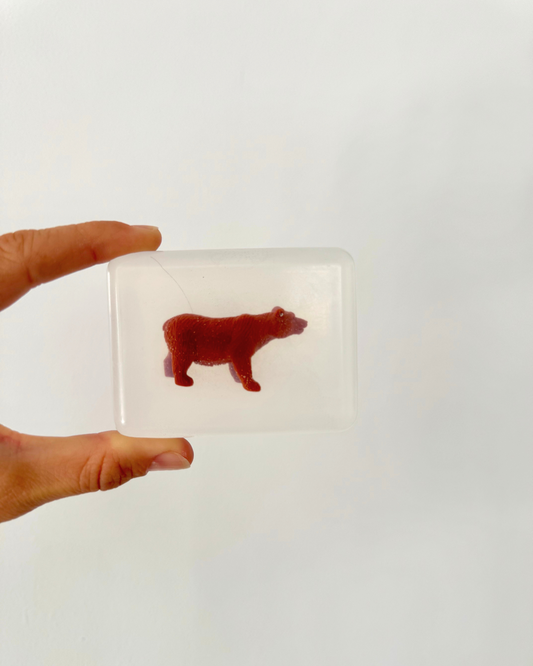 savon transparent ours soap hit