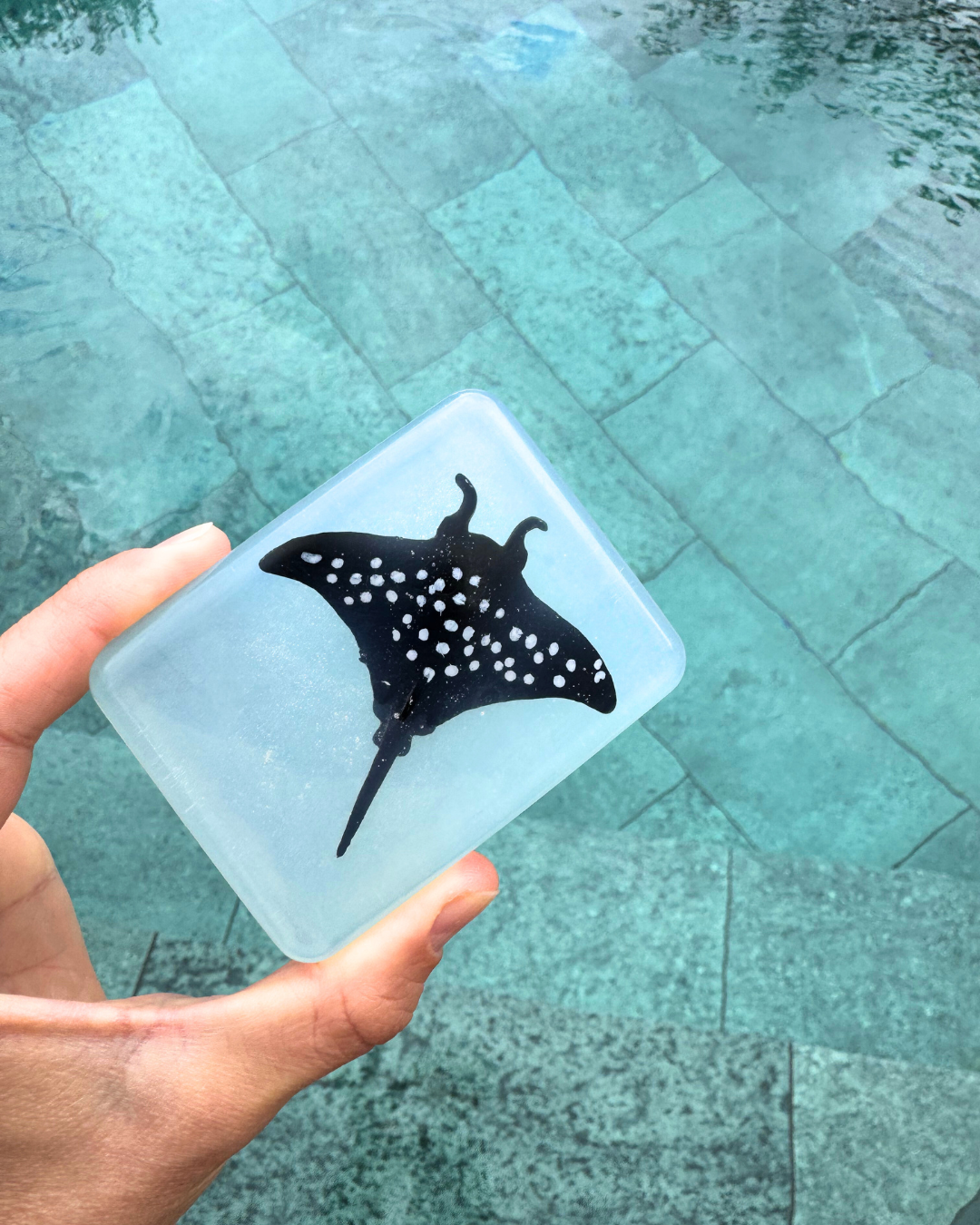 savon transparent avec figurine raie soap Hit