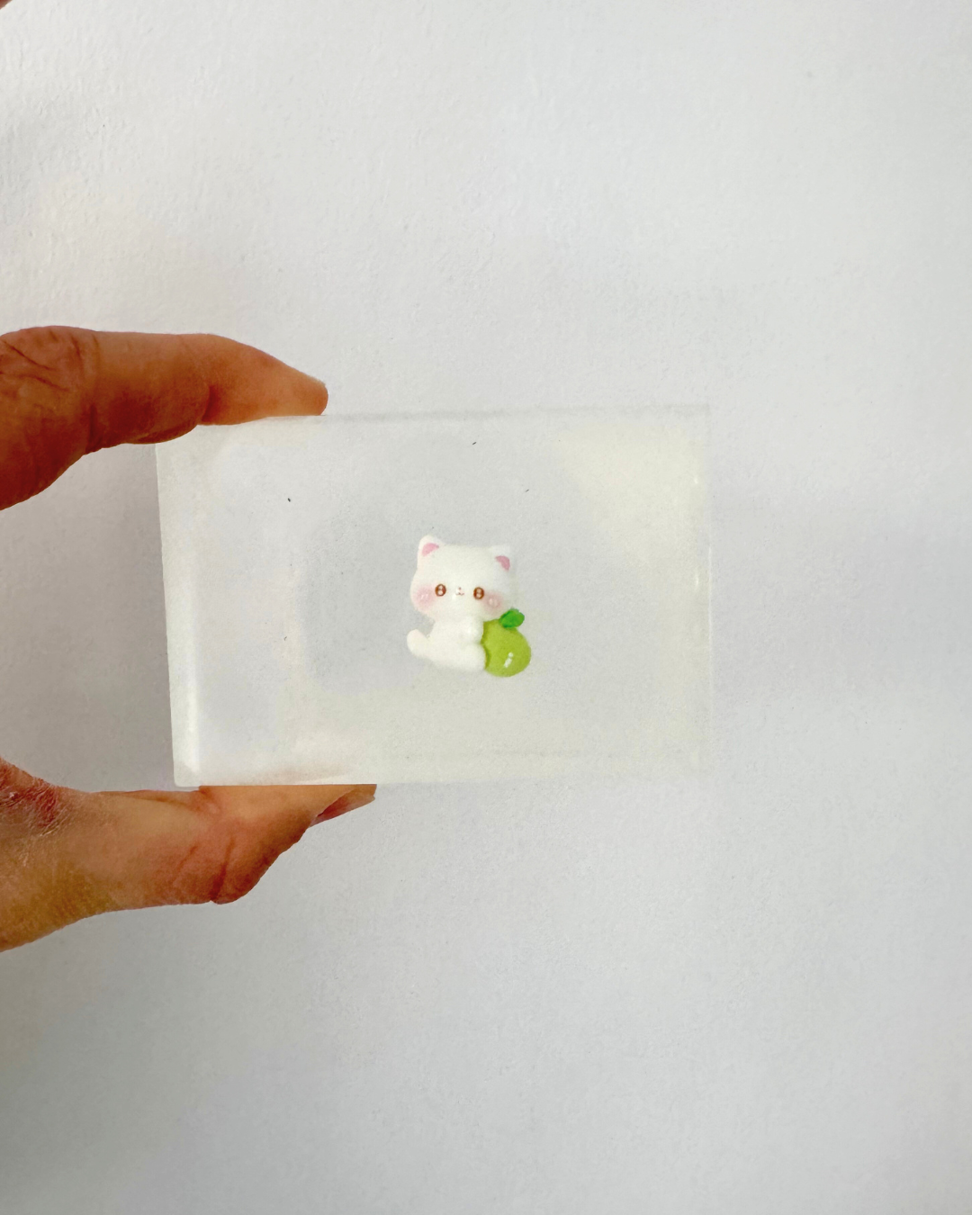 Savon soap hit chat et pomme