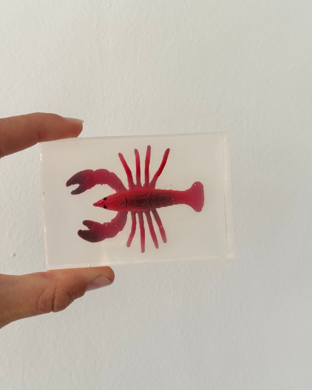 savon transparent avec homard Soap Hit