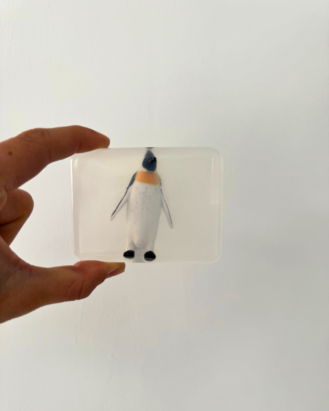 Savon transparent avec pinguin soap Hit