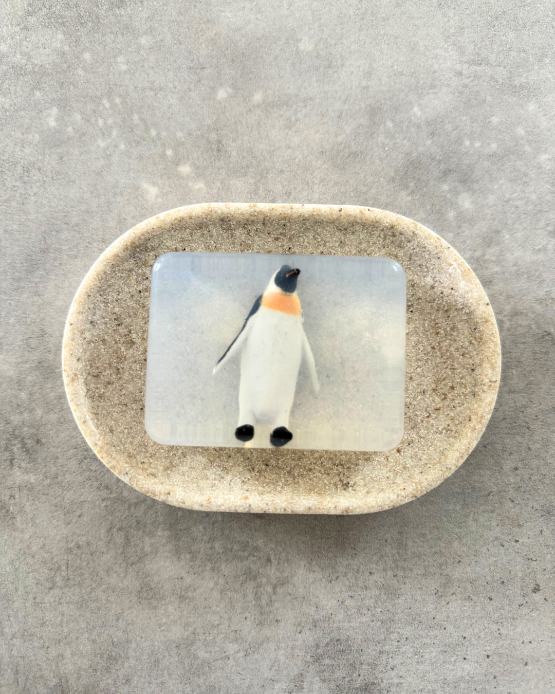 Savon transparent avec pinguin soap Hit