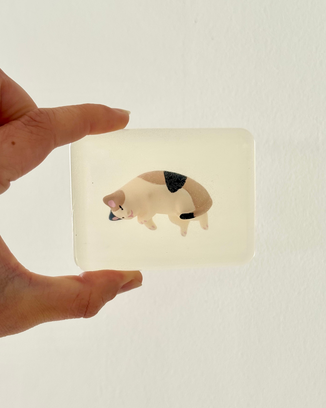 savon transparent chat Soap Hit