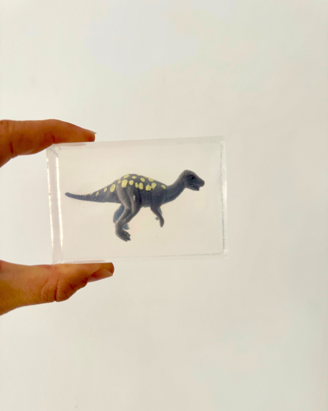 savon transparent avec figurine dinosaure soap HIt