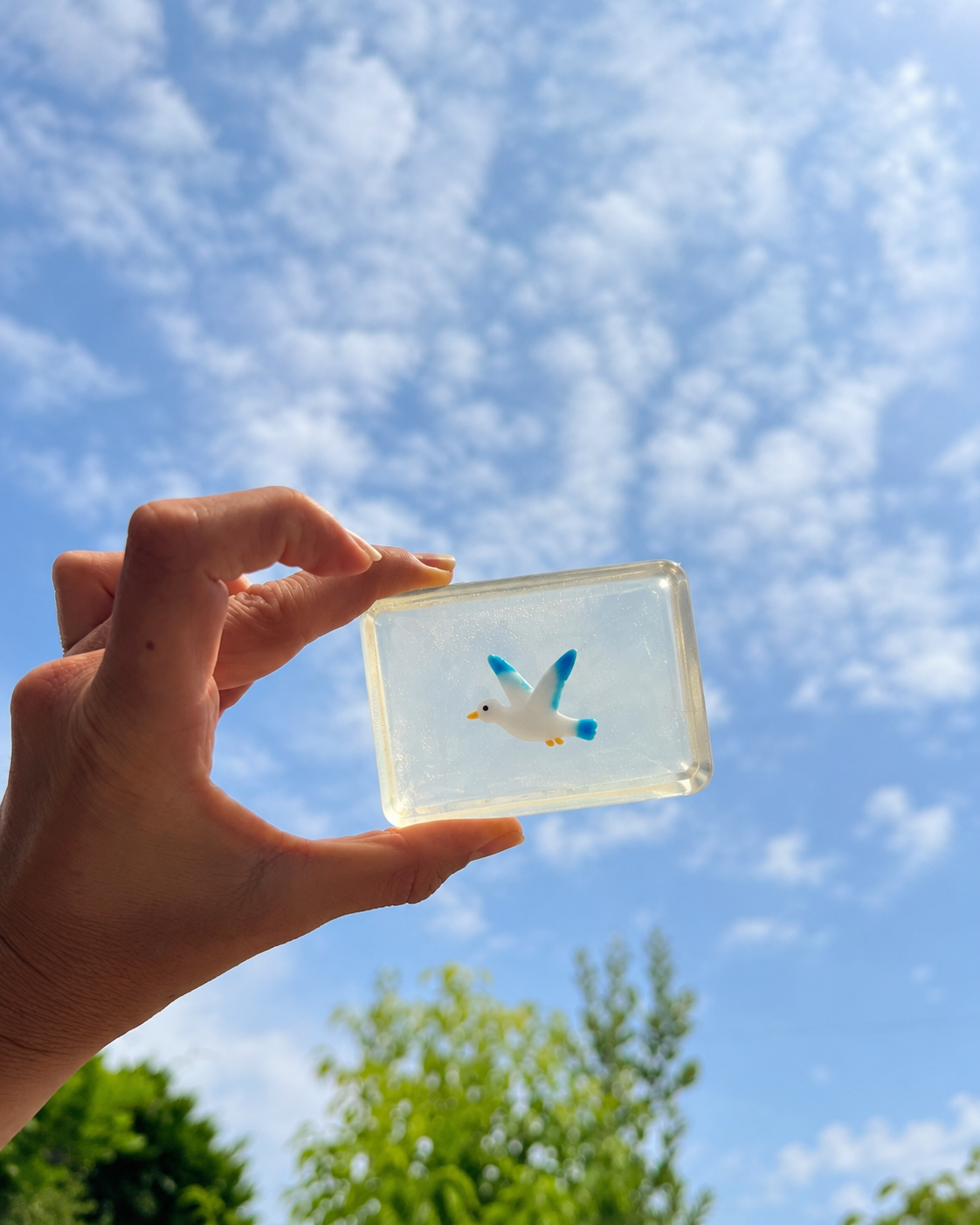 savon mouette soap Hit
