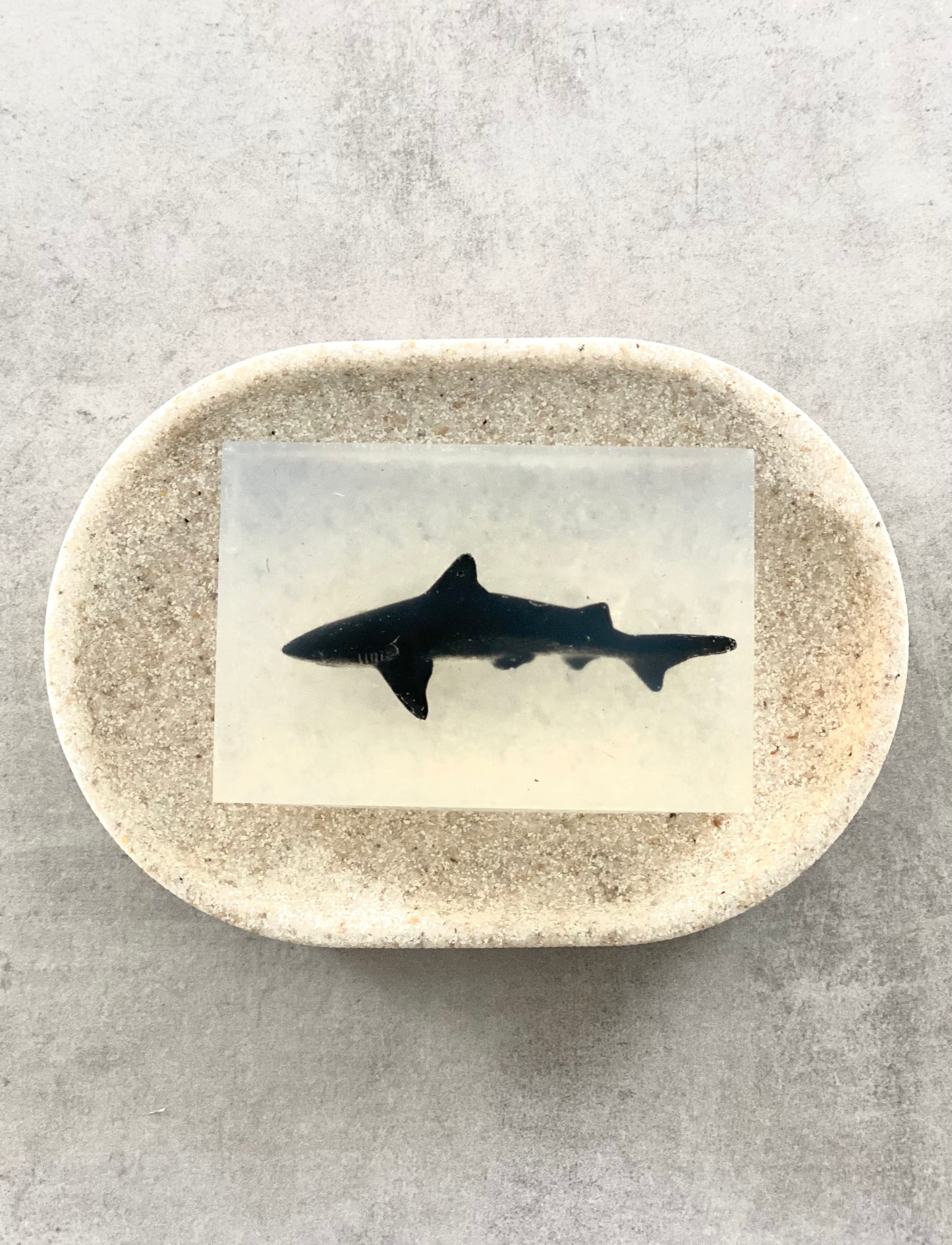 savon transparent avec figurine requin