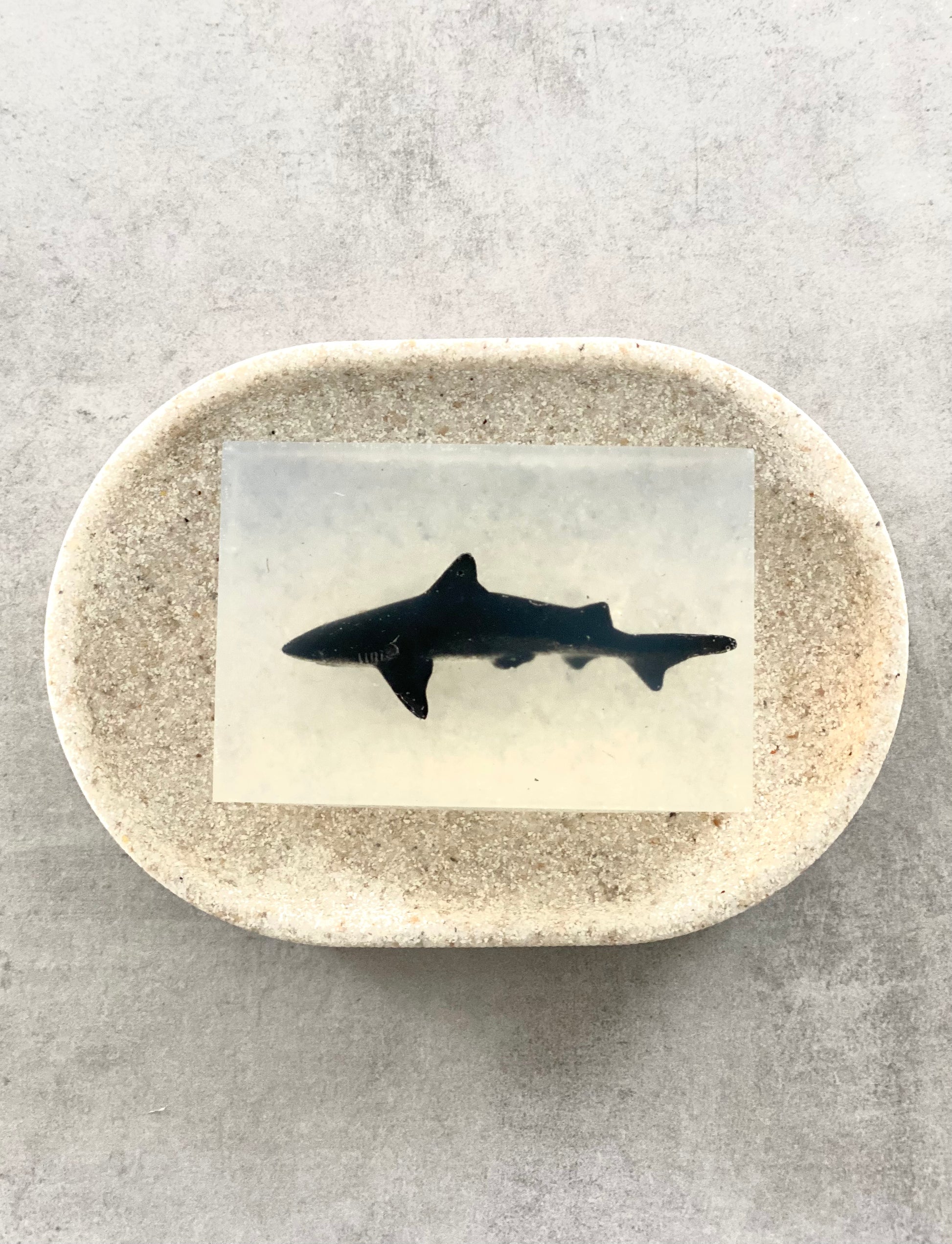 savon transparent avec figurine requin