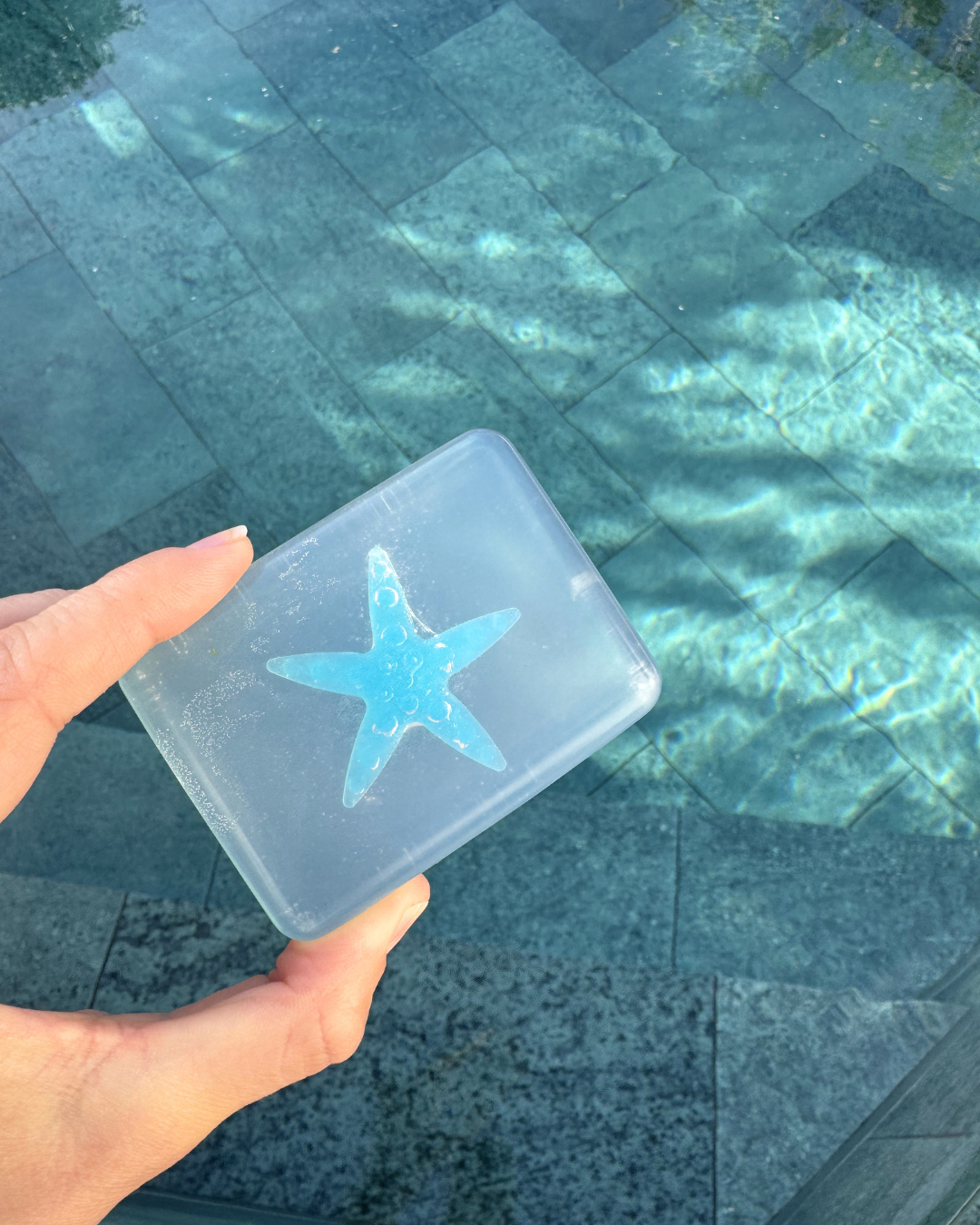 savon étoile de mer transparent soap hit