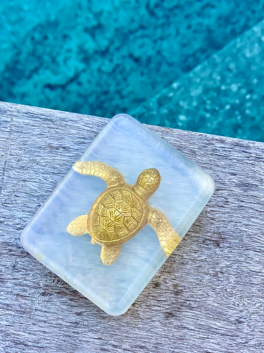 savon transparent avec figurine tortue
