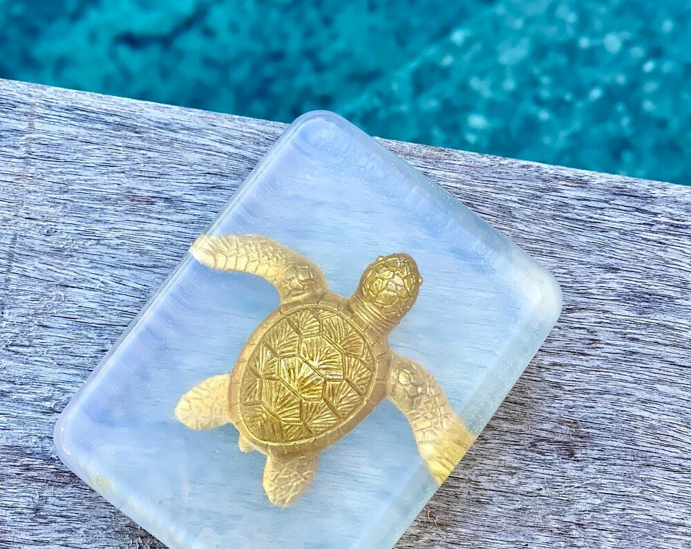 savon transparent figurine tortue soap hit