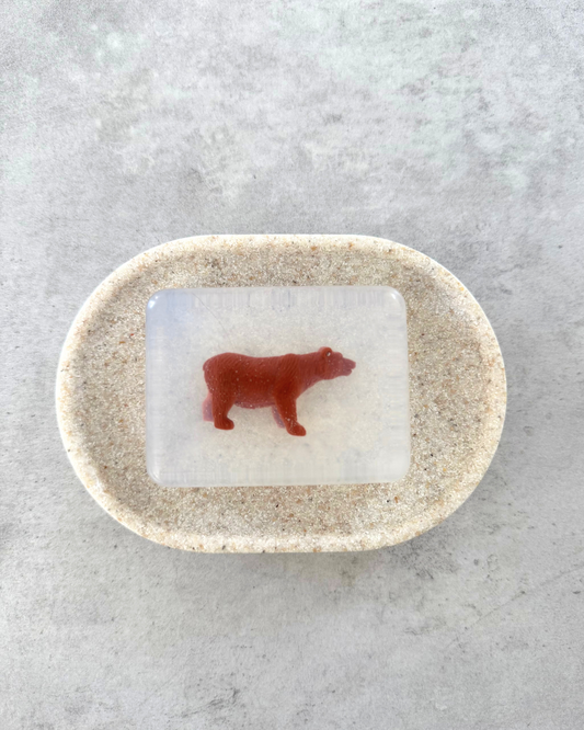 savon transparent ours soap hit