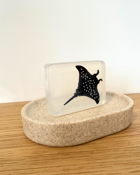 savon transparent avec figurine raie soap Hit
